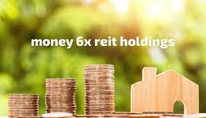 money 6x reit holdings